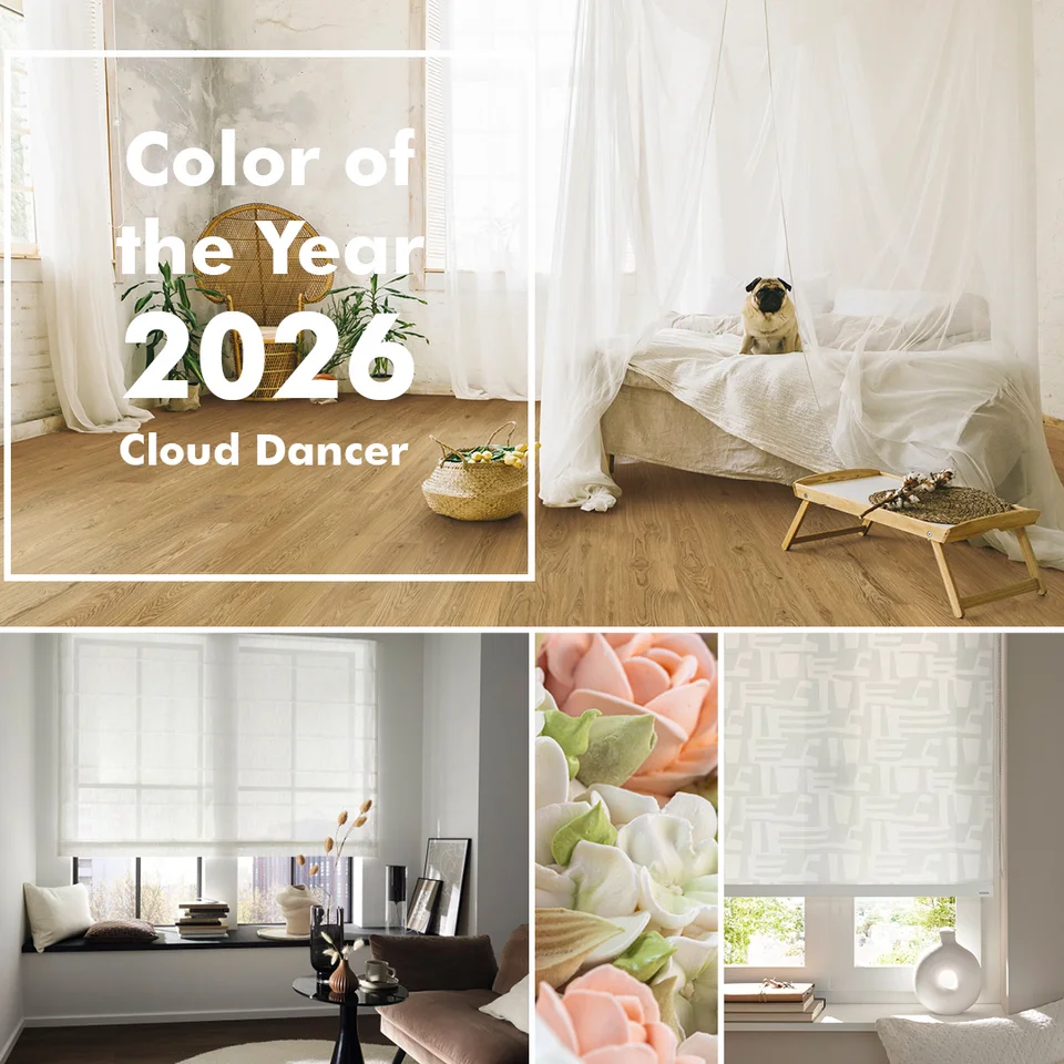 Pantone Farbe des Jahres 2026 Cloud Dancer