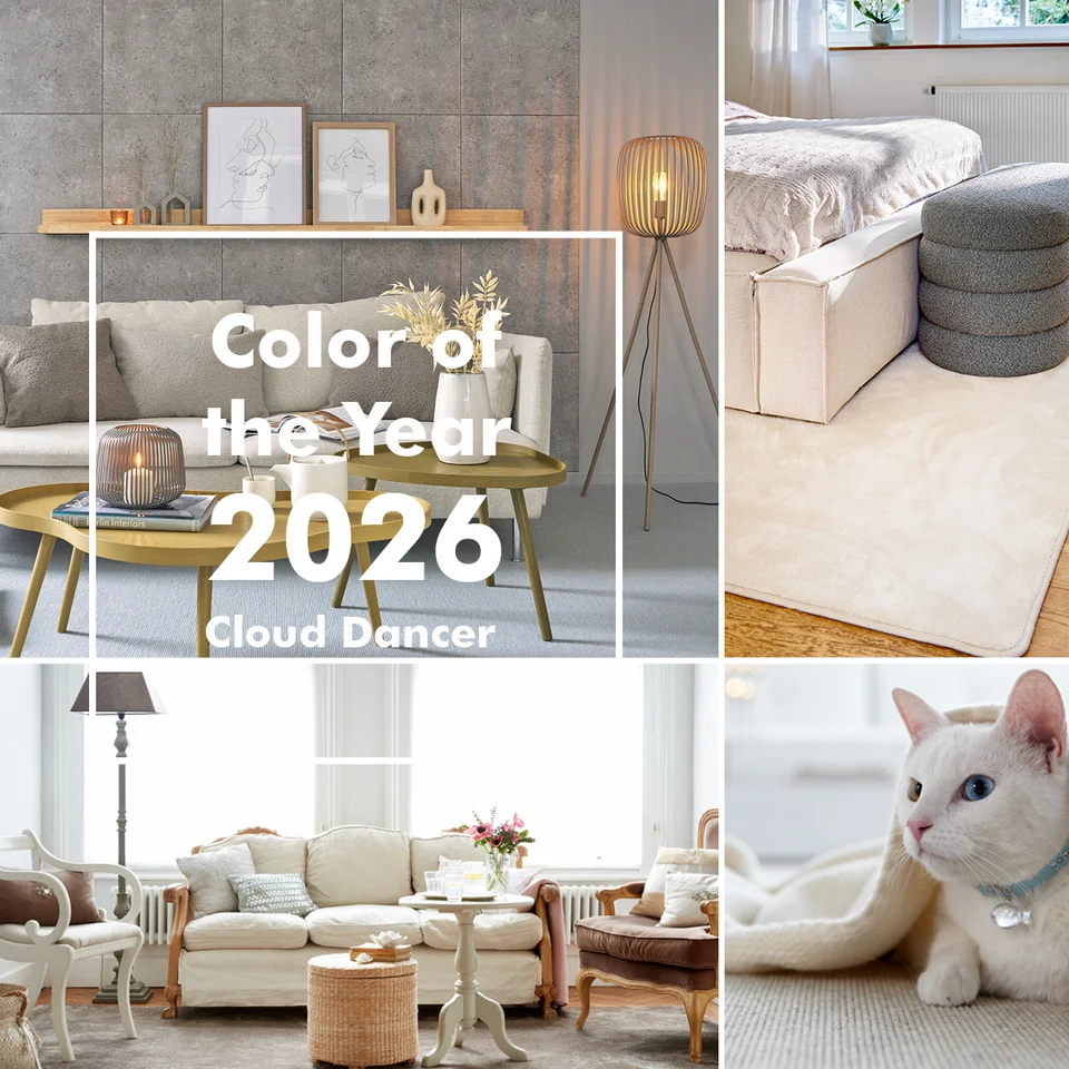 Pantone Farbe des Jahres 2026 Cloud Dancer