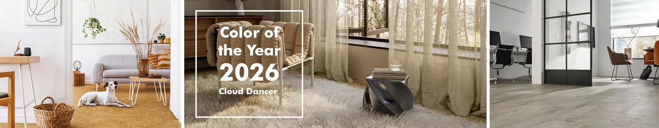 Pantone Farbtrend 2026 Cloud Dancer